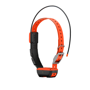 Garmin Alpha T20 GPS Collar - Image 4